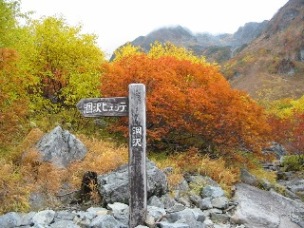 分かれ道