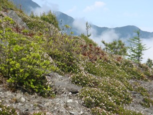 銅山峰