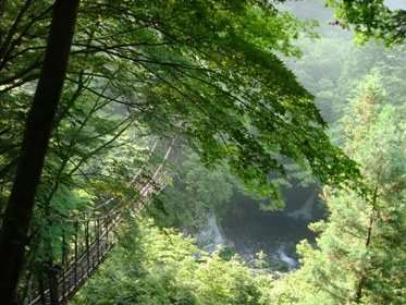 祖谷のつり橋