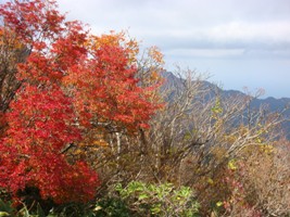 ちち山の別れ