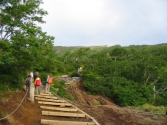 登山道