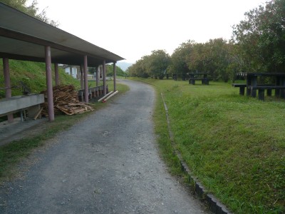10072605.jpg