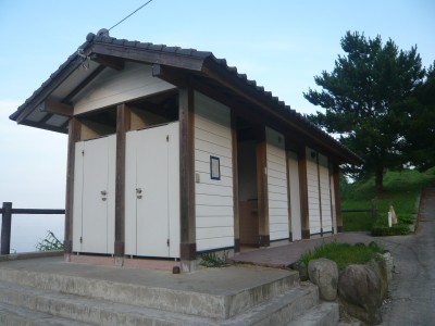 10072607.jpg
