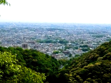 07051120s.jpg