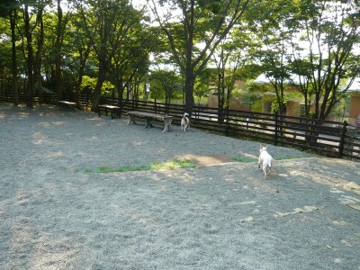 10072617.jpg