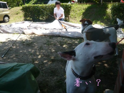 10071711.jpg