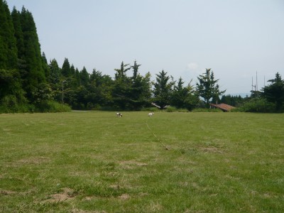 10072707.jpg