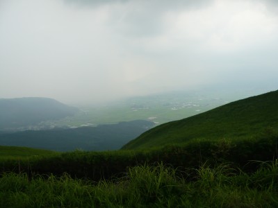10072720.jpg