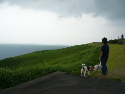 10072724.jpg