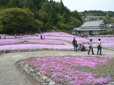 10050802.jpg