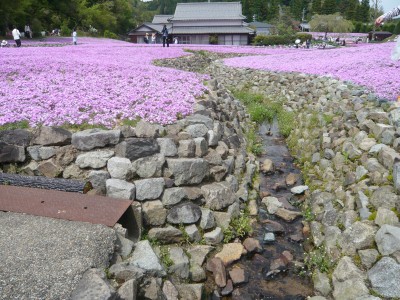 10050803.jpg