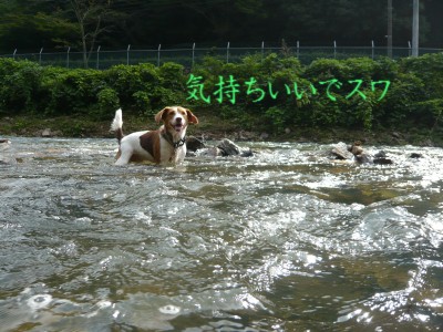 09081202.jpg