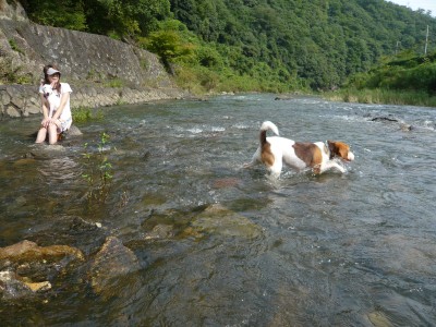 09081205.jpg