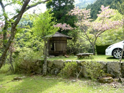 10050808.jpg
