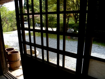 10050811.jpg
