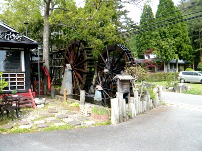 10050814.jpg