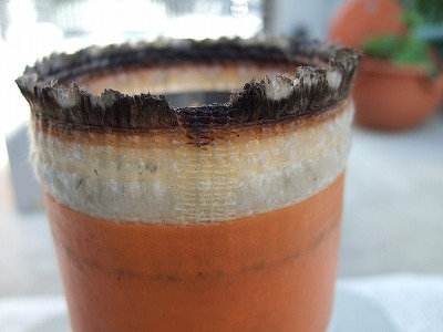 DSCF8625.jpg