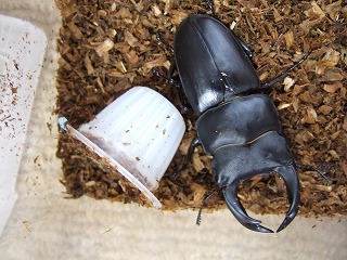 DSCF3089.jpg