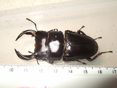 DSCF6817.jpg