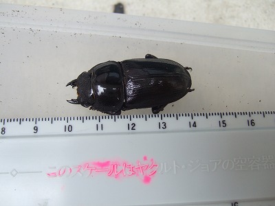 DSCF6820.jpg