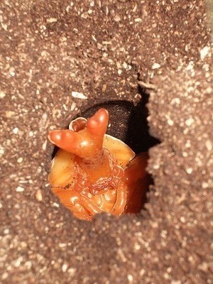 DSCF6622.jpg