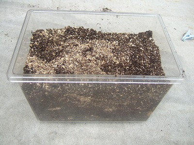 DSCF6518.jpg