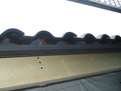DSCF2247.jpg