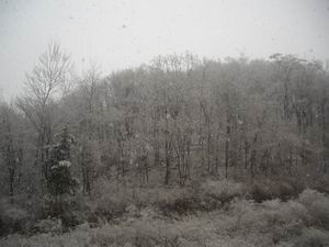 2009.3.27
