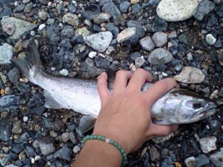 ギンさんに撮ってもらいました