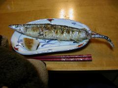 秋刀魚＼(^o^)／