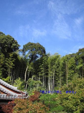 雨上がりの鈴虫寺と空