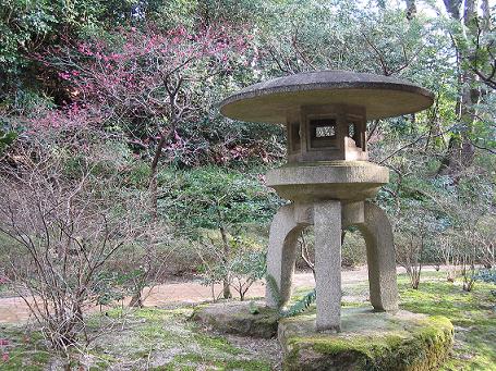 北野天満宮「梅苑」４