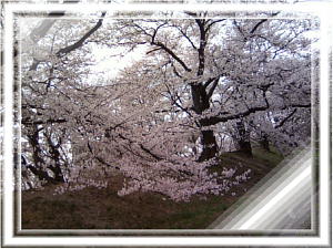 画像 189.jpg