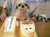 ちーちゃん誕生日会