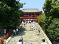 鎌倉八幡宮