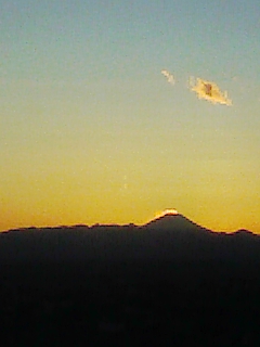 都庁からの富士山