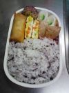 20090731 お弁当.jpg