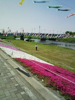 20100501 不動橋こいのぼり２.jpg