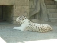 20090920 東武動物公園3.JPG