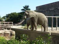 20090920 東武動物公園4.JPG