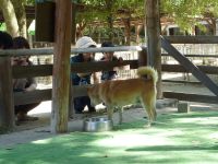 20090920 東武動物公園6.JPG