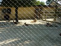 20090920 東武動物公園8.JPG