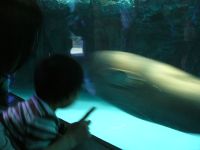 20090503 サンシャイン水族館２.jpg