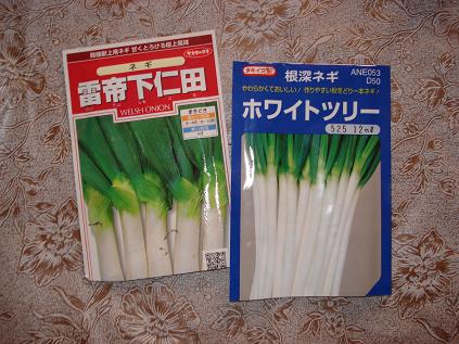 ねぎ種子