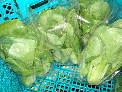 チンゲン菜袋詰め