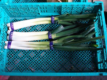 ねぎお届け３束