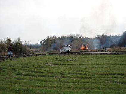 野焼き風景