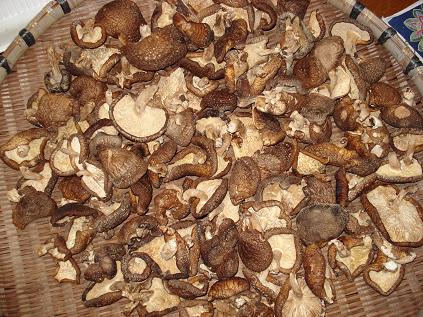 干ししいたけ