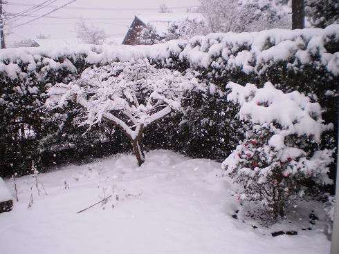 雪景色2