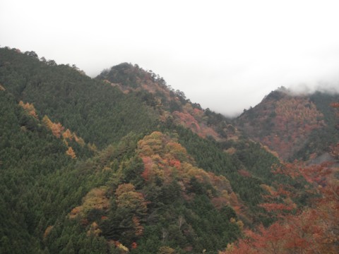 三頭山